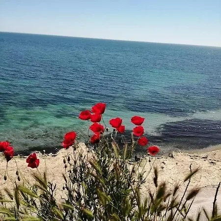 House Krapets Krapets (Dobrich)