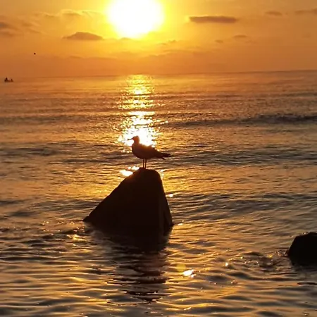 House Krapets Holiday home Krapets (Dobrich)