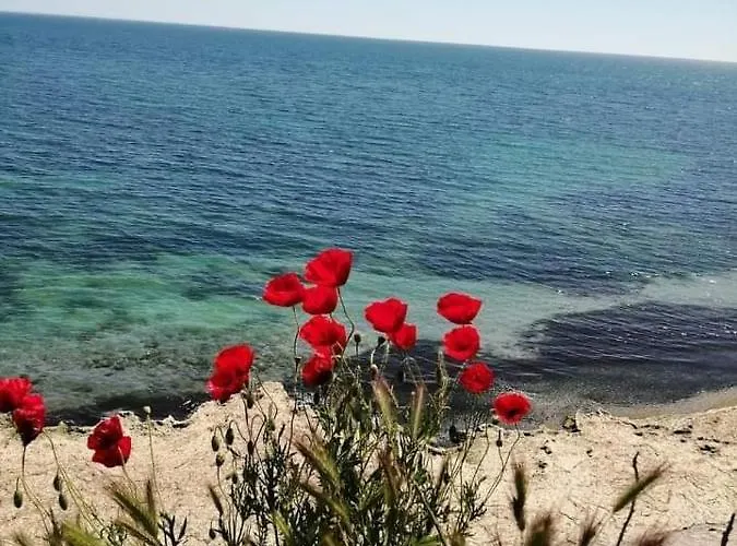 House Krapets Krapets (Dobrich)