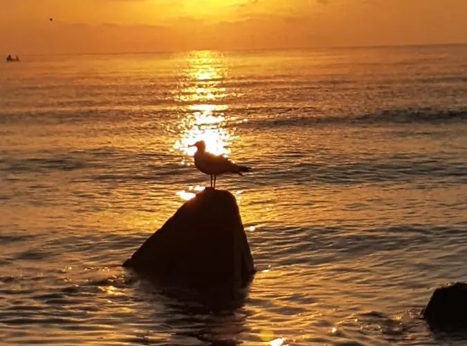 House Krapets Feriehus Krapets (Dobrich)