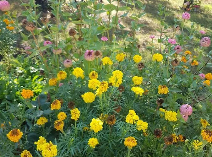 House Krapets Feriehus