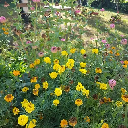 House Krapets Semesterbostad